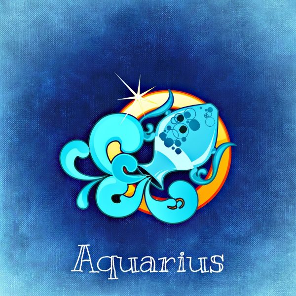 virgo male and aquarius female compatibility,