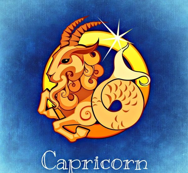capricorn star sign horoscope 759379, virgos and capricorns compatibility,